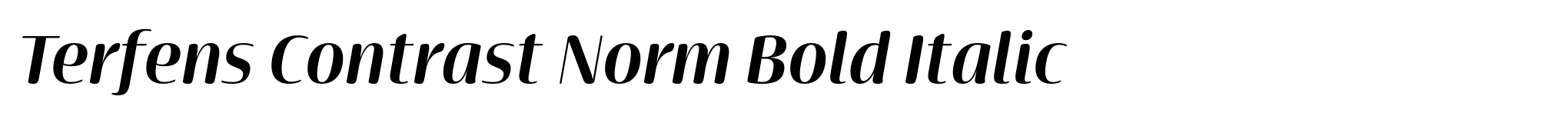 Terfens Contrast Norm Bold Italic image